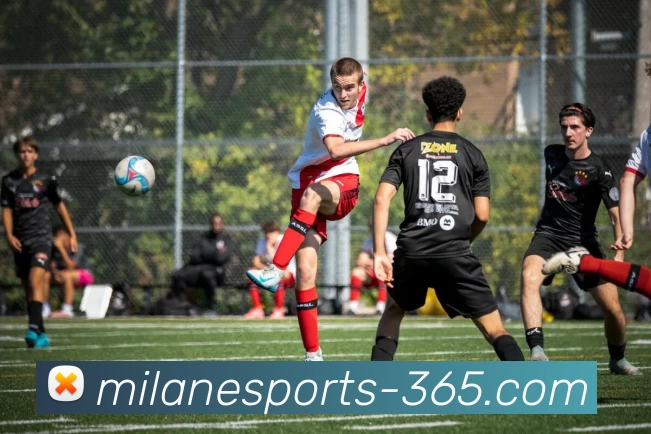 米兰电竞投注平台生态图